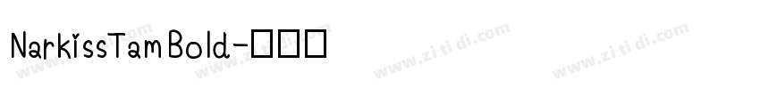 NarkissTam Bold字体转换